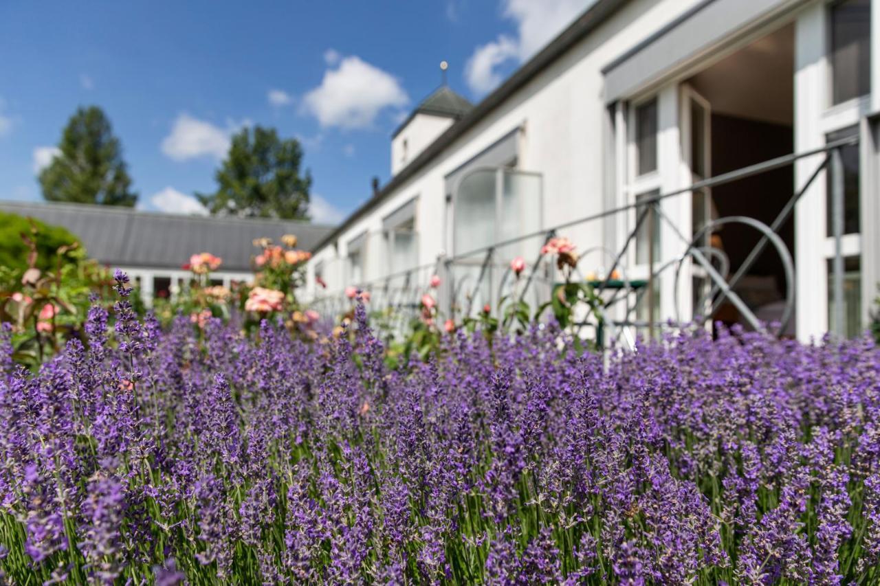 See & Park Hotel Feldbach Steckborn Εξωτερικό φωτογραφία